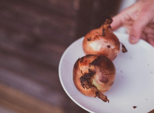 a person holding a plate with onions on it