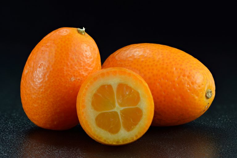 12 Best Health Benefits of Kumquat for Children
