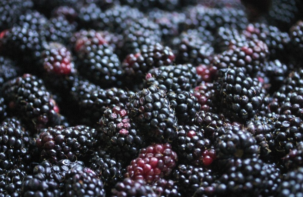 Marionberries