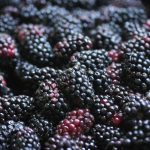 13 Best Health Benefits of Marionberry for Women