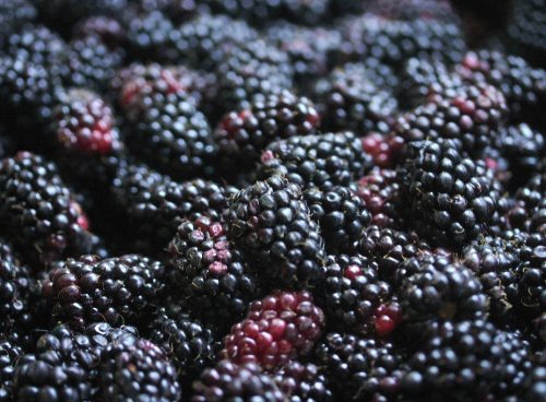 Marionberries