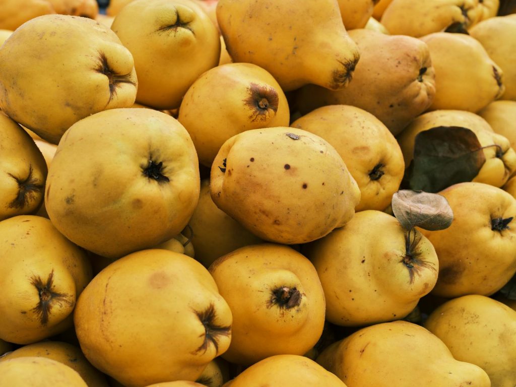 13 Surprising Potent Health Benefits of Quinces