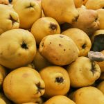 13 Surprising Potent Health Benefits of Quinces
