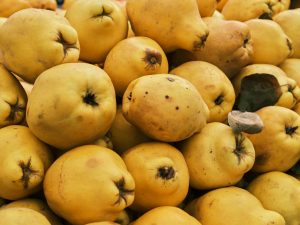 13 Surprising Potent Health Benefits of Quinces