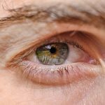 Understanding Human Reflexes: The Crucial Role of Automatic Body Responses