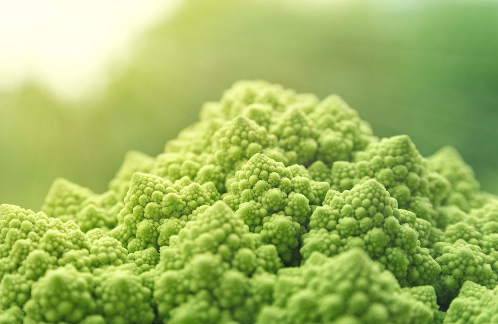 Romanesco broccoli