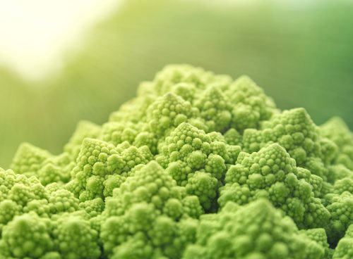 Romanesco broccoli