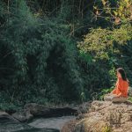 What Is Forest Bathing and What Are Its Benefits?