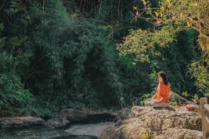 What Is Forest Bathing and What Are Its Benefits?