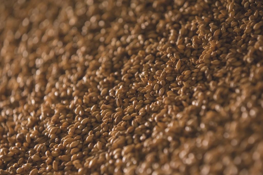 12 Best Foods High in Gamma-Linolenic Acid for Anti-Inflammatory Benefits