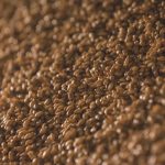 12 Best Foods High in Gamma-Linolenic Acid for Anti-Inflammatory Benefits