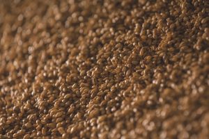 12 Best Foods High in Gamma-Linolenic Acid for Anti-Inflammatory Benefits