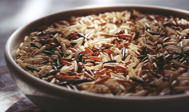 14 Best Foods High in Phytates for Mineral Regulation