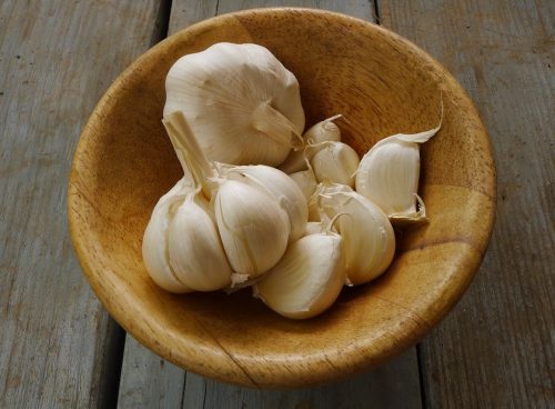 garlic