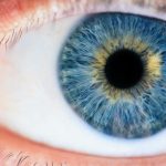 Is Consuming Tamarillo Good for Eye Health?