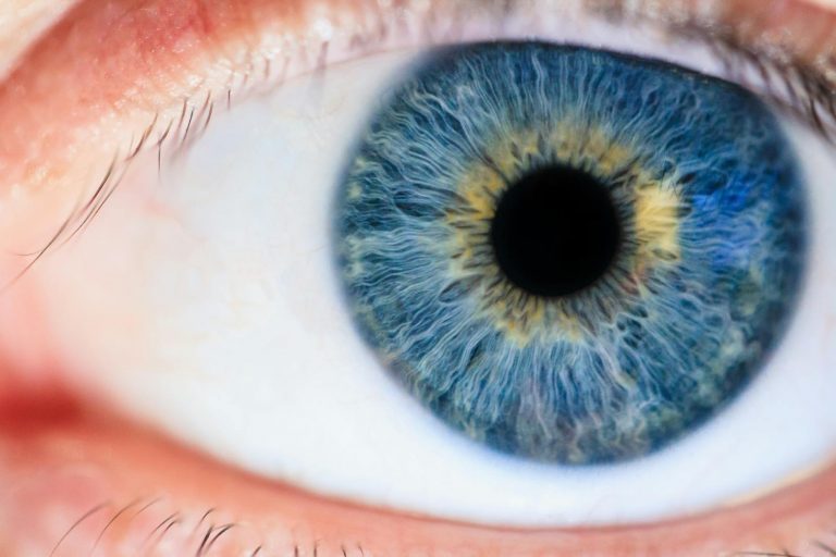 Is Consuming Tamarillo Good for Eye Health?