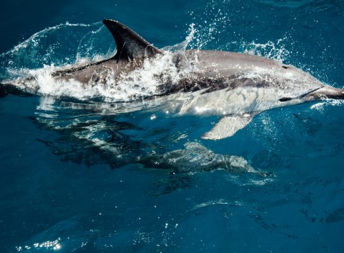 14e93bba 4cf3 4c6c 8dd2 6a293daf9d41 1