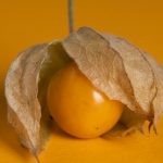 14 Proven Benefits of Drinking Goldenberry Juice