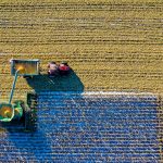 How Regenerative Agriculture Restores Ecosystems and Soil