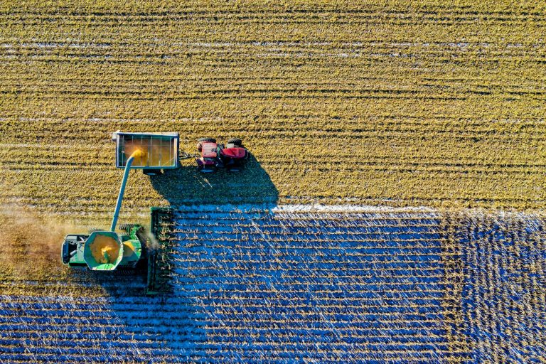 What Is Regenerative Agriculture, and How Does It Work?