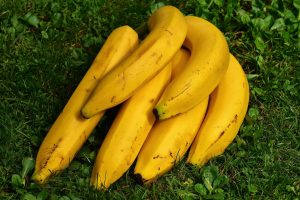 12 Plant-Based Foods for Boosting Natural Energy Levels
