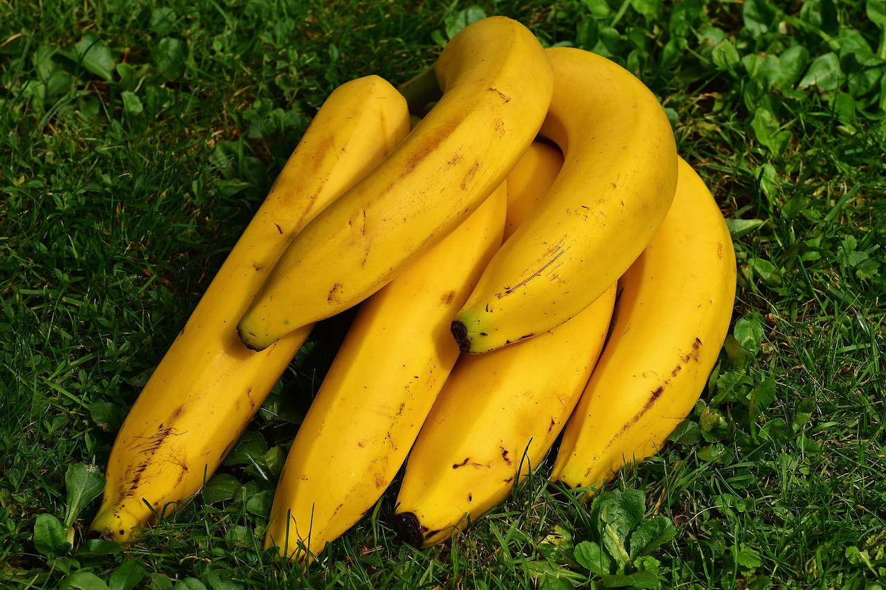 12 Plant-Based Foods for Boosting Natural Energy Levels 1 bananas, fruits, yellow