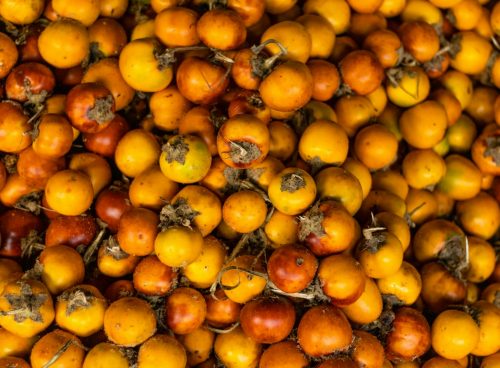 Close up of Yellow Fruit