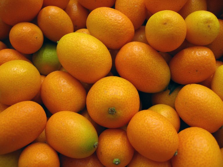 Are Kumquats Safe for People with Diabetes?