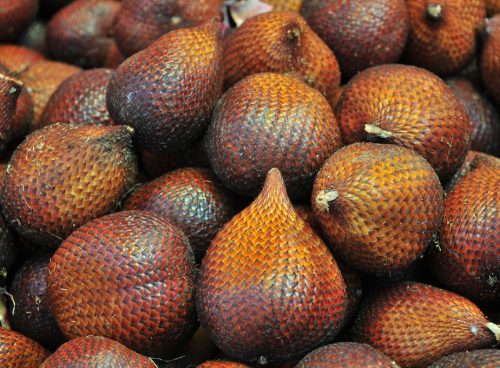 Salak Fruit