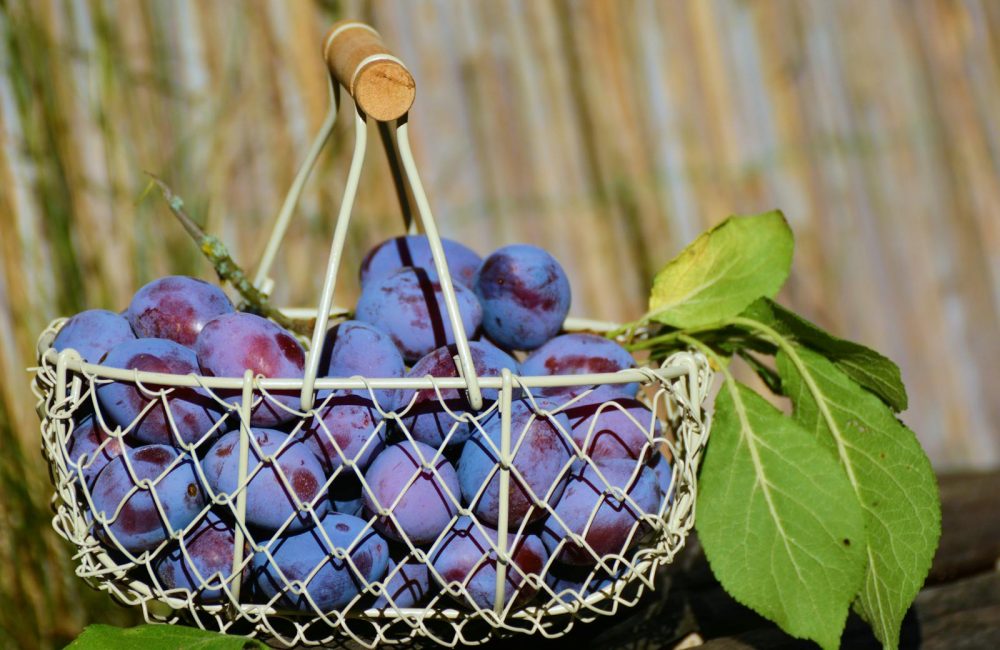 Purple Grape Fruits in White Steel Basket