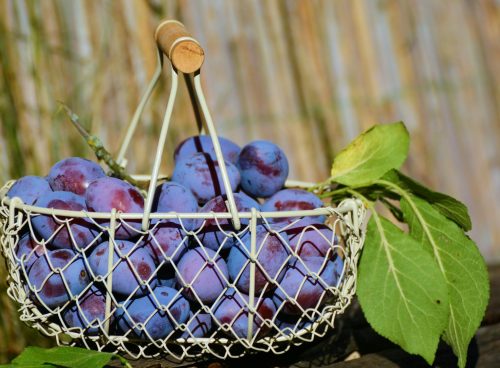Purple Grape Fruits in White Steel Basket