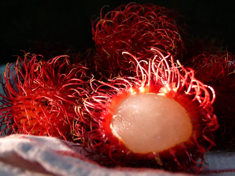 Is Eating Rambutan Safe for People With Diabetes?