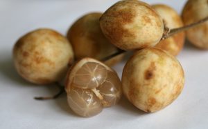 16 Amazing Benefits of Rambai Fruit