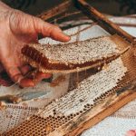 Is Consuming Raw Honey Safe and Beneficial for health?