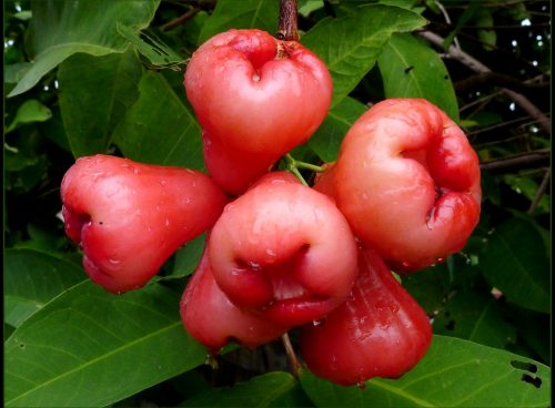 2ab969b6 3aff 4e93 859c 0b36bf813b0b