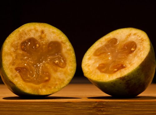Feijoa