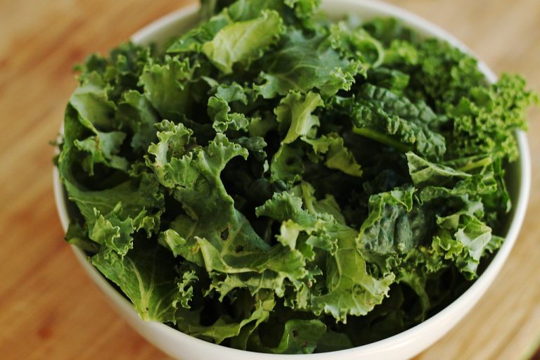 12 Best Foods for Lung Health and Respiratory Function