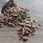 14 Best Foods High in Lignans for Hormonal Balance
