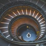 What is Biomimicry, and How Does It Work?