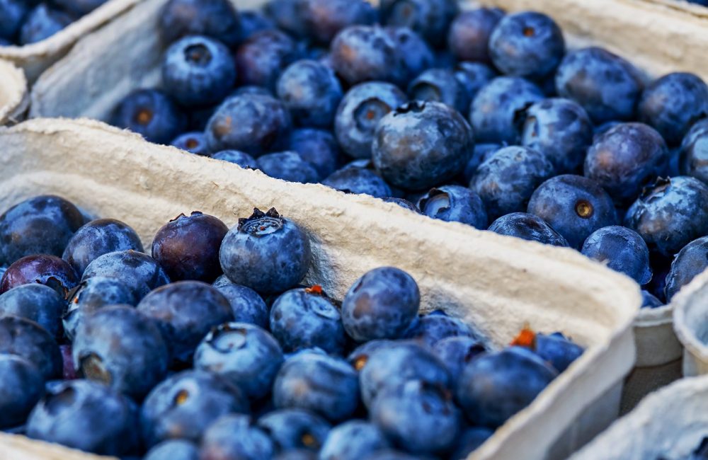 blueberries, berries, fruits
