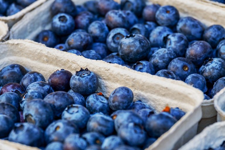 14 Best Foods High in Anthocyanins for People Seeking Cognitive Support