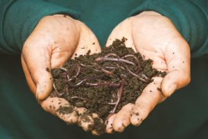 15 Amazing Benefits of Composting and How to Get Started