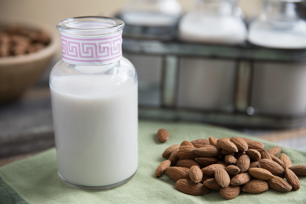 14 Best Dairy Alternatives for People with Lactose Intolerance 1 14 Best Dairy Alternatives for People with Lactose Intolerance