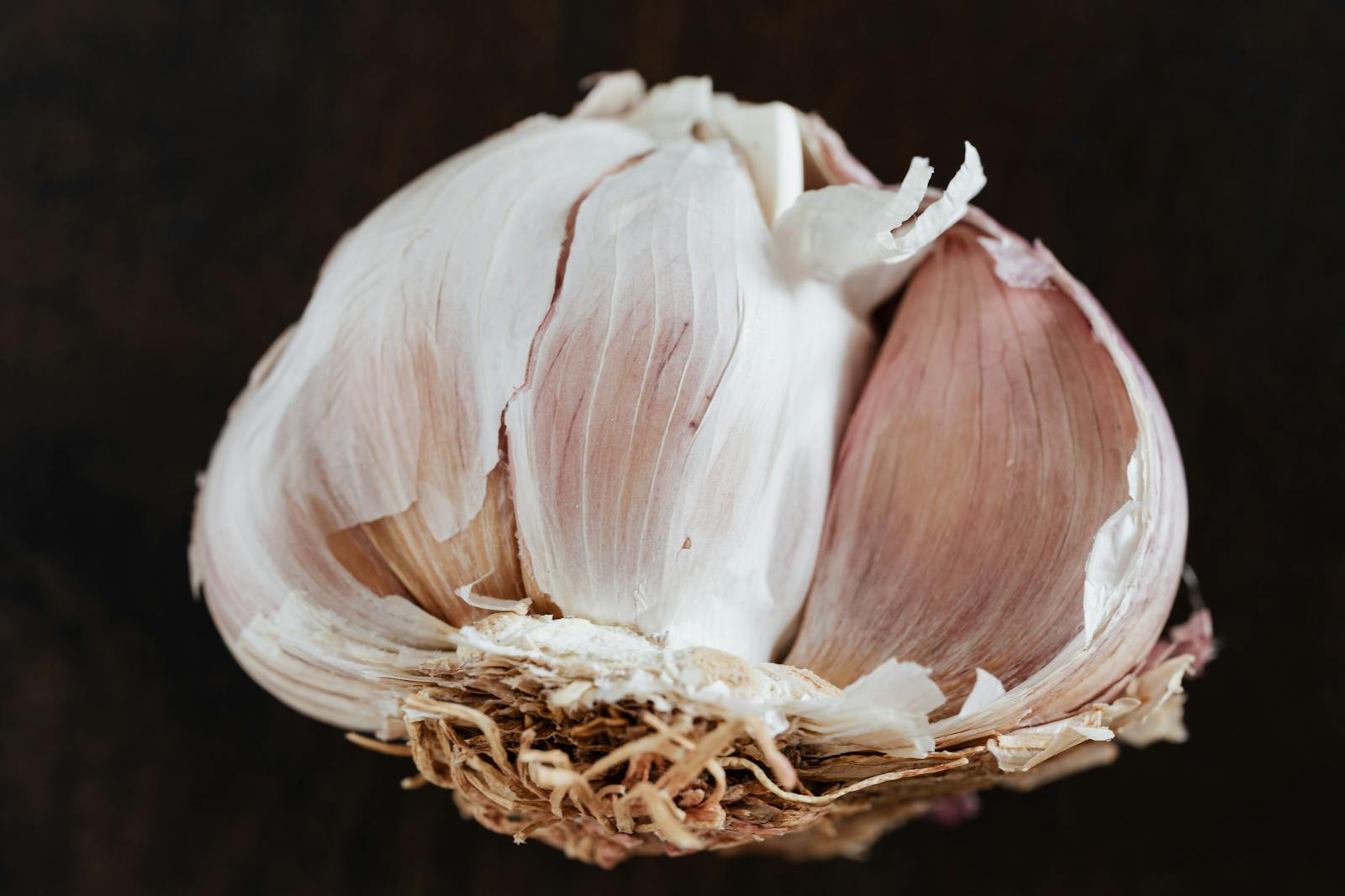 garlic