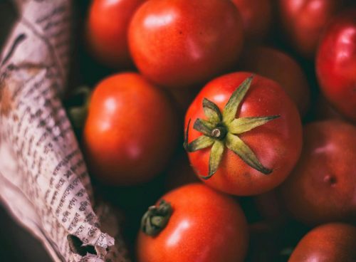 Bunch of Red Tomatoes