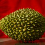 16 Best Health Benefits of Durian for Women