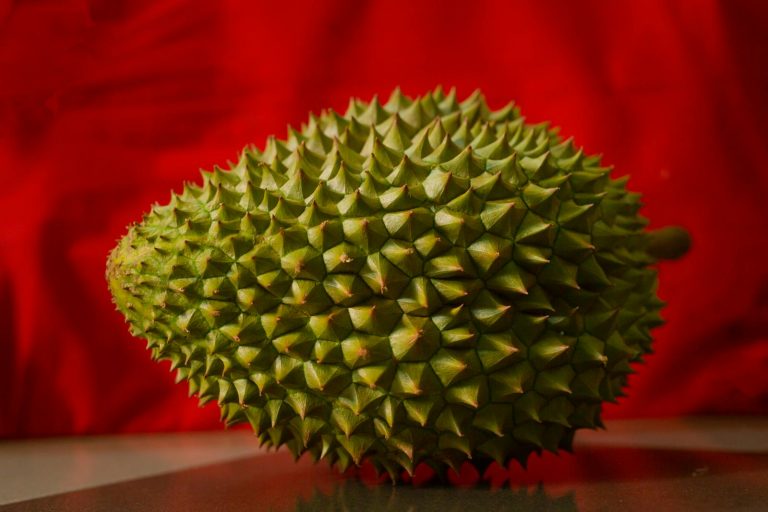 16 Best Health Benefits of Durian for Women