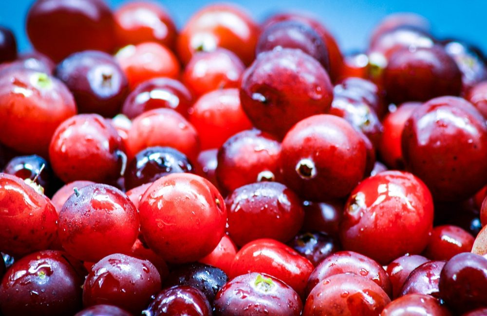 food, berry, cranberry