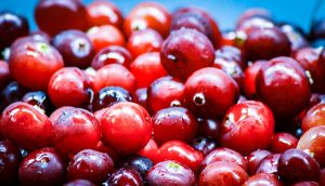 13 Essential Foods for Optimal Women’s Urinary Health