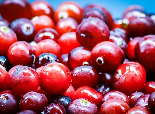 food, berry, cranberry